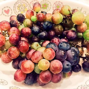 秋もエンジョイ阿波おどりの画像